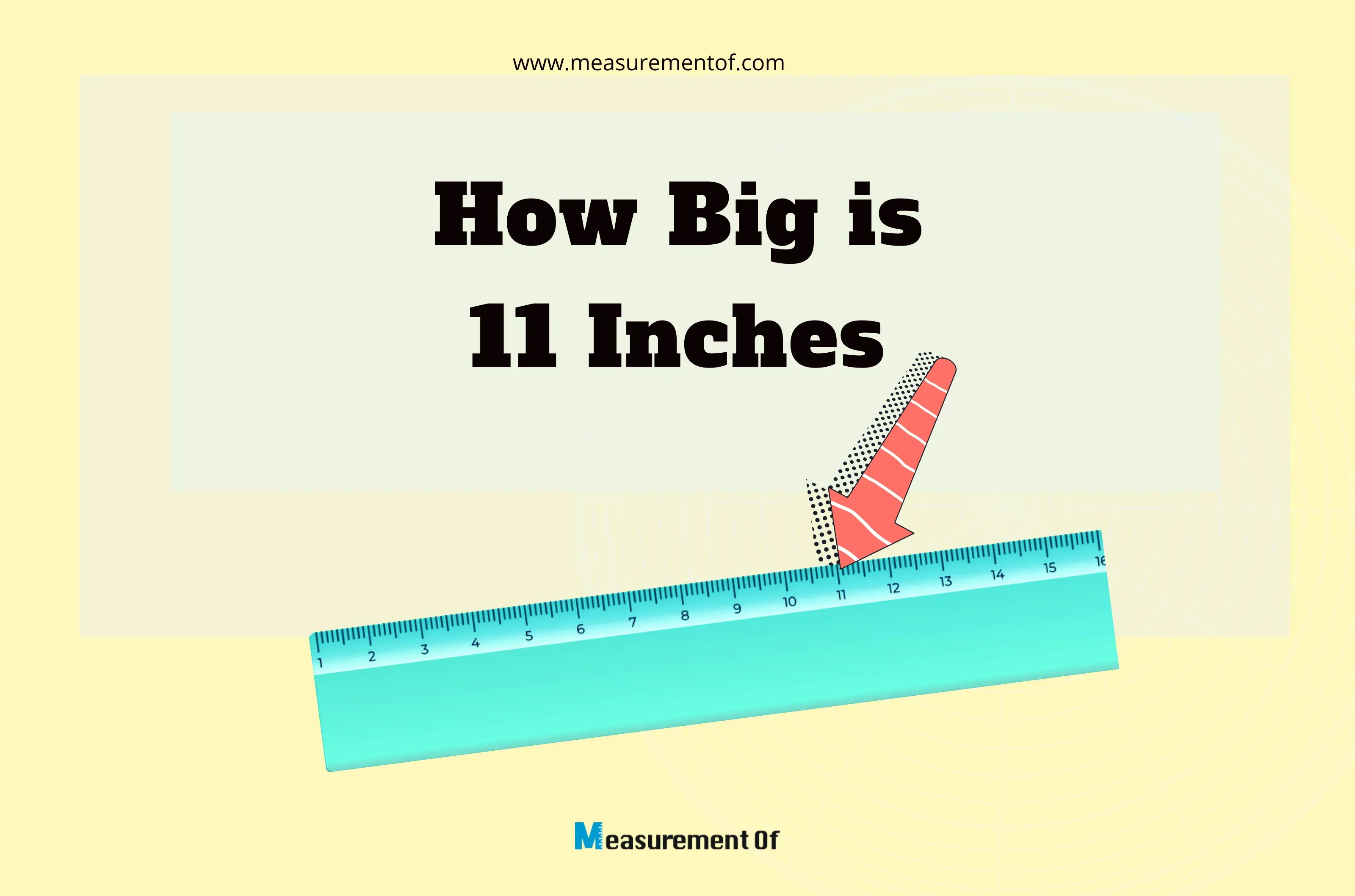 How Big Is 11 Inches?