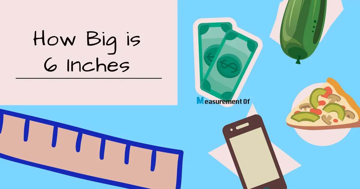 How Big Is 6 Inches?